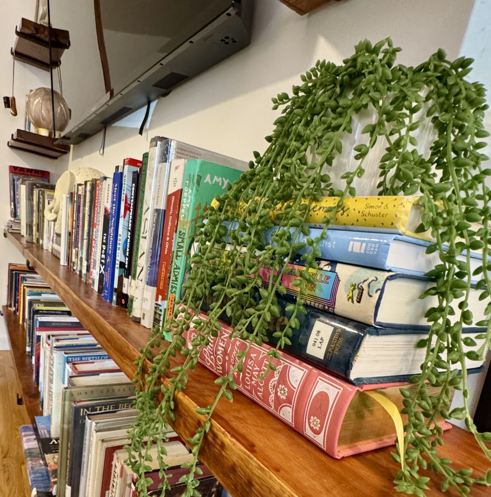 A trailing green plant resting on a stack of books on the shelf